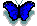 schmetterling